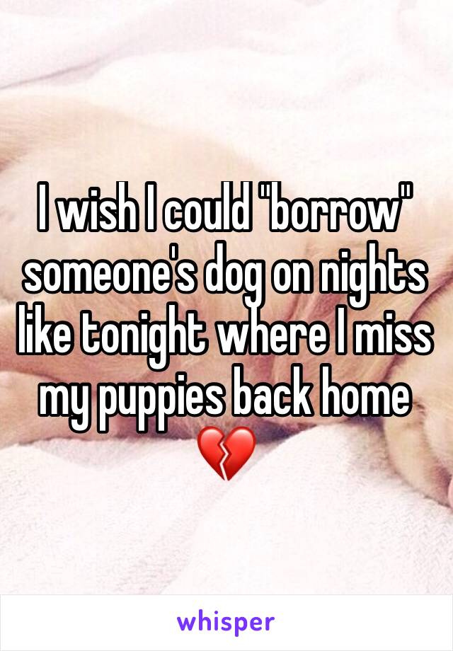 I wish I could "borrow" someone's dog on nights like tonight where I miss my puppies back home 💔