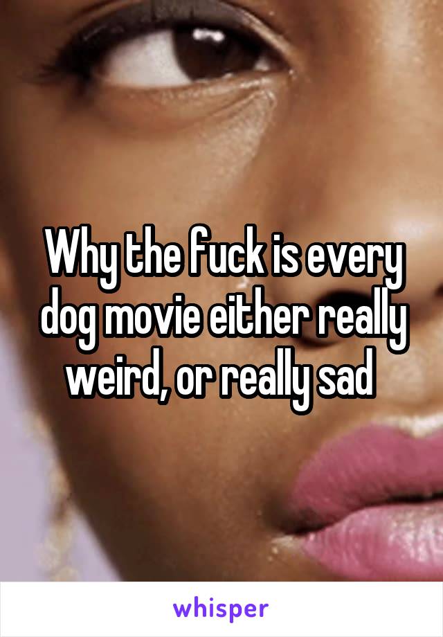 Why the fuck is every dog movie either really weird, or really sad 