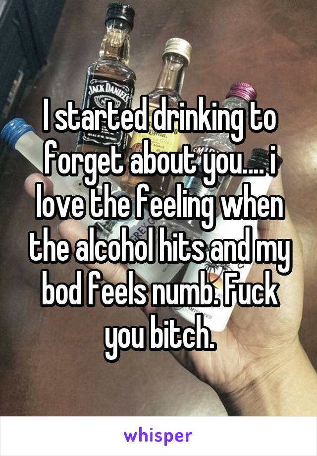 I started drinking to forget about you.... i love the feeling when the alcohol hits and my bod feels numb. Fuck you bitch.