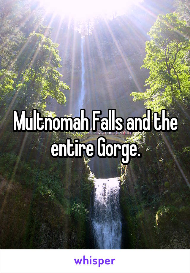 Multnomah Falls and the entire Gorge.