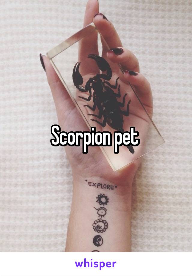 Scorpion pet 