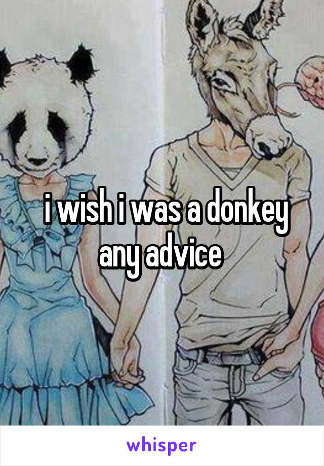  i wish i was a donkey any advice 