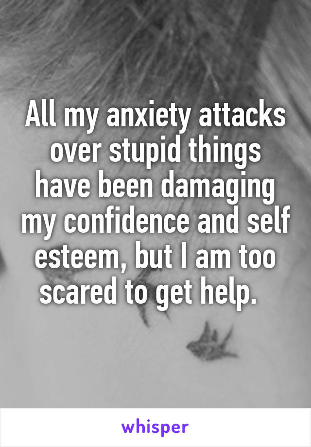 All my anxiety attacks over stupid things have been damaging my confidence and self esteem, but I am too scared to get help.  
