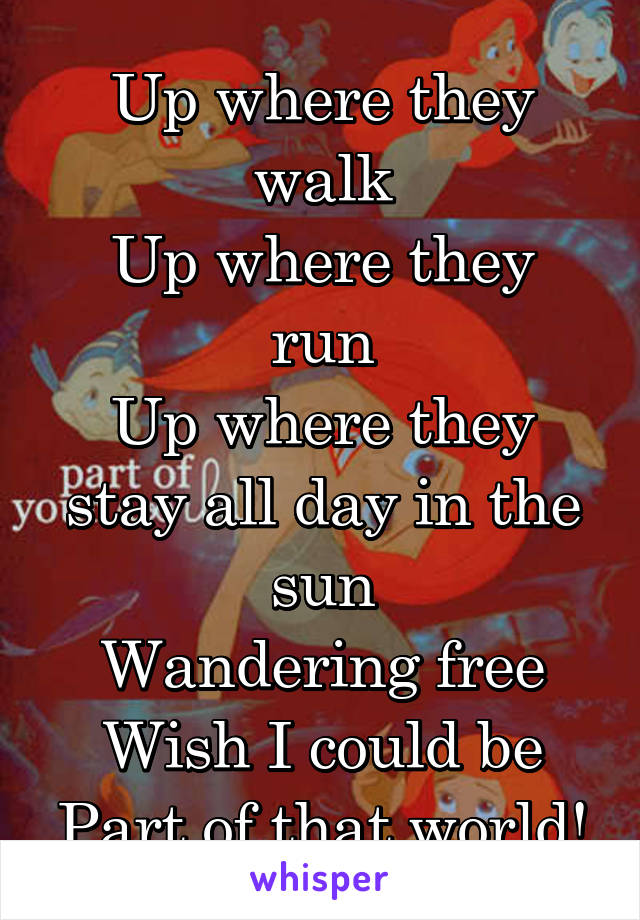 Up where they walk
Up where they run
Up where they stay all day in the sun
Wandering free
Wish I could be
Part of that world!