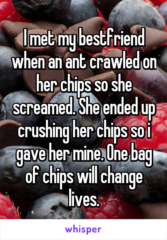I met my bestfriend when an ant crawled on her chips so she screamed. She ended up crushing her chips so i gave her mine. One bag of chips will change lives.