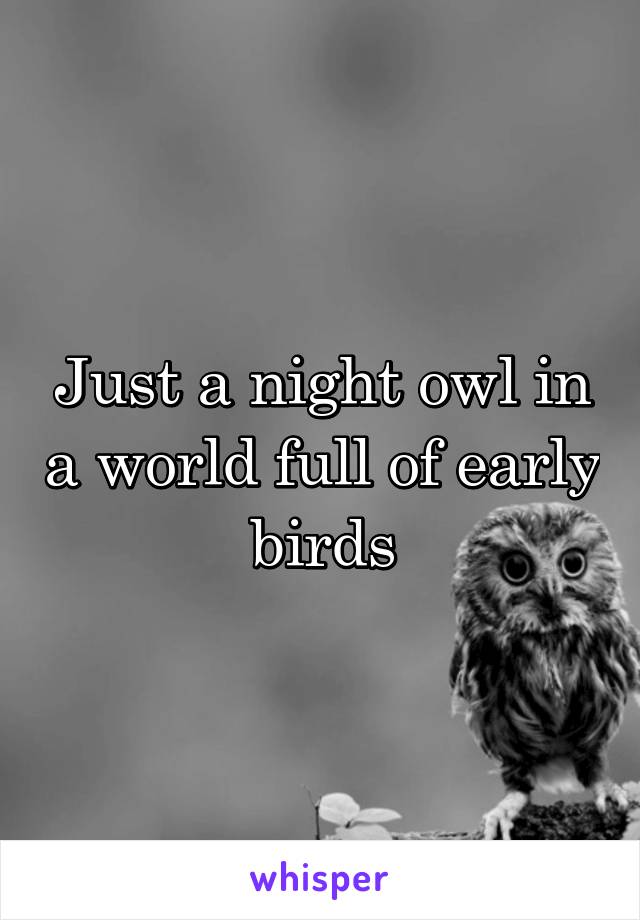 Just a night owl in a world full of early birds