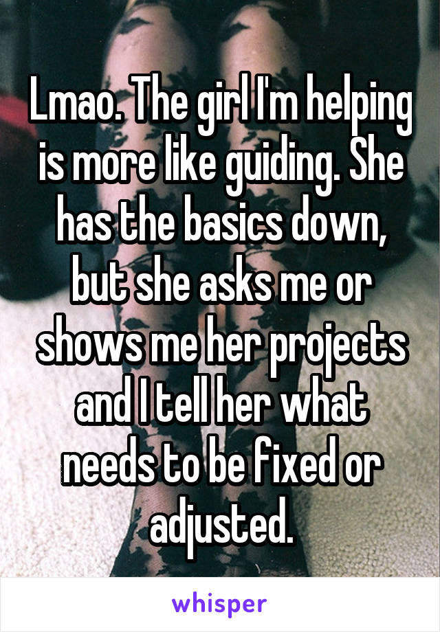 Lmao. The girl I'm helping is more like guiding. She has the basics down, but she asks me or shows me her projects and I tell her what needs to be fixed or adjusted.