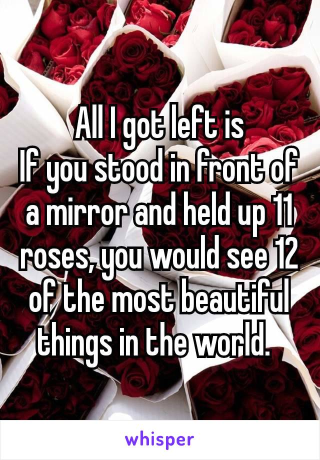 All I got left is
If you stood in front of a mirror and held up 11 roses, you would see 12 of the most beautiful things in the world. 