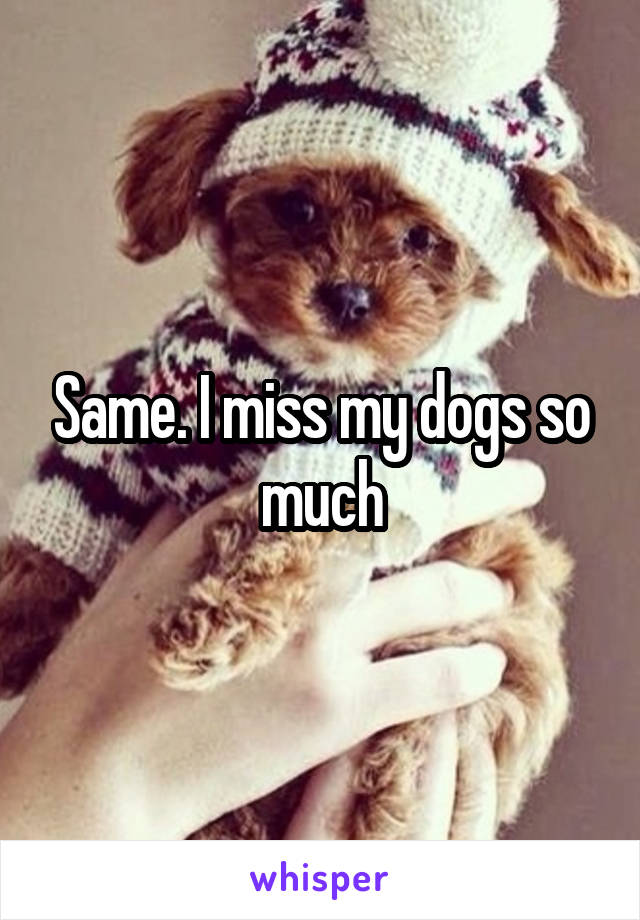 Same. I miss my dogs so much