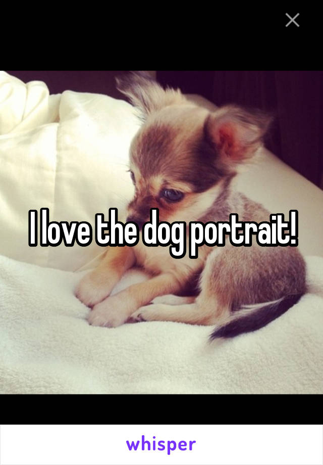 I love the dog portrait!