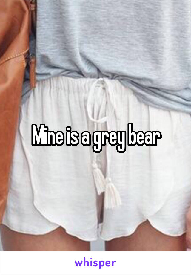 Mine is a grey bear