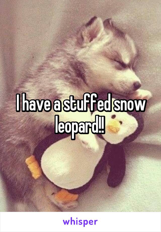 I have a stuffed snow leopard!! 