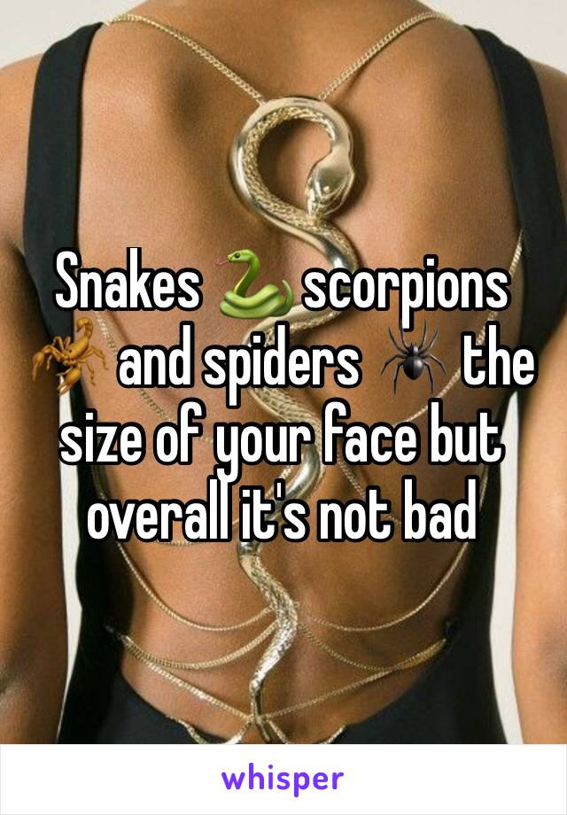 Snakes 🐍 scorpions 🦂 and spiders 🕷 the size of your face but overall it's not bad 