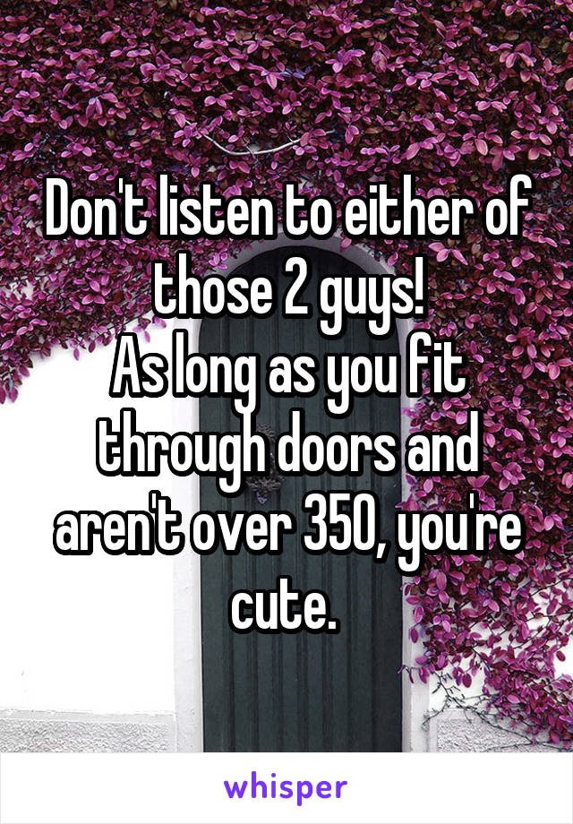 Don't listen to either of those 2 guys!
As long as you fit through doors and aren't over 350, you're cute. 