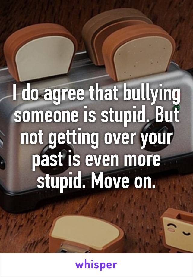 I do agree that bullying someone is stupid. But not getting over your past is even more stupid. Move on.