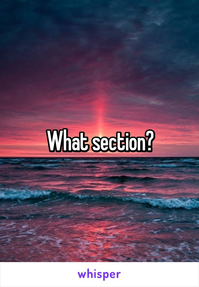 What section?