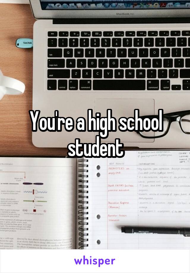 You're a high school student