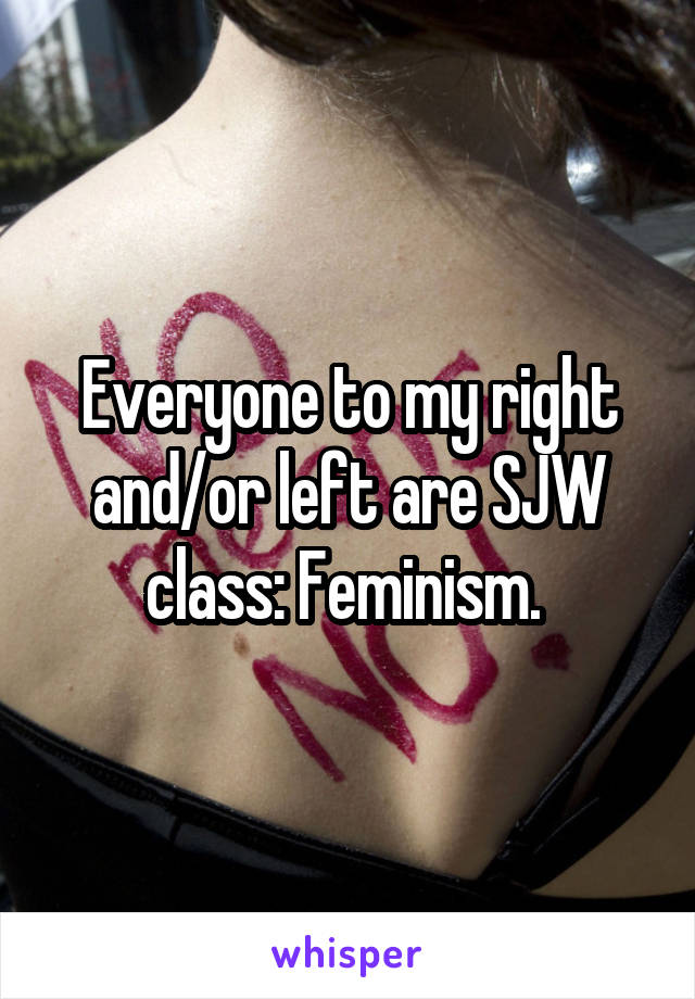 Everyone to my right and/or left are SJW class: Feminism. 