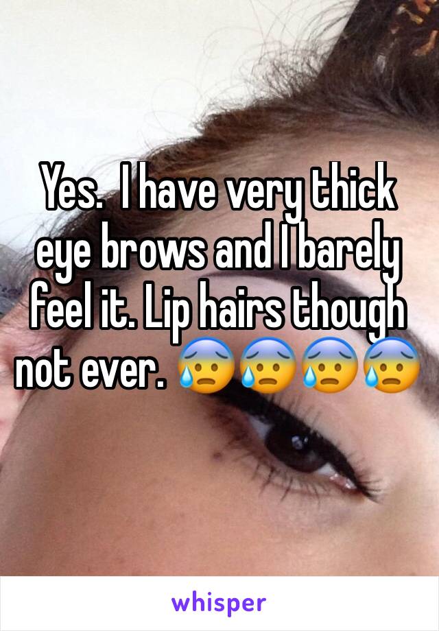 Yes.  I have very thick eye brows and I barely feel it. Lip hairs though not ever. 😰😰😰😰