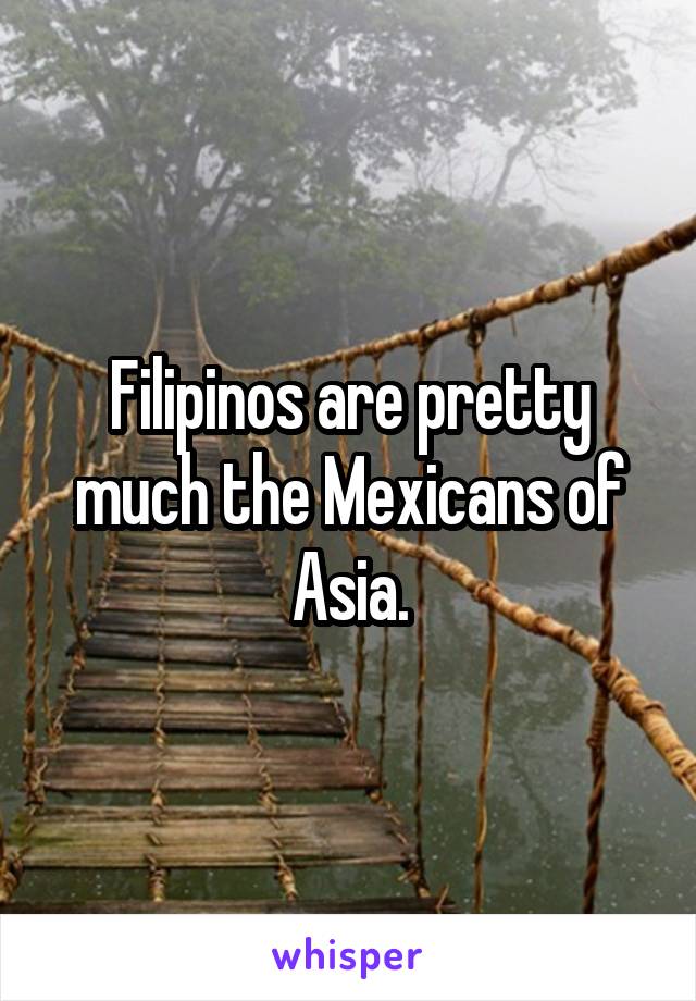 Filipinos are pretty much the Mexicans of Asia.