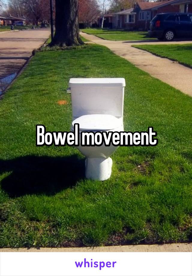 Bowel movement