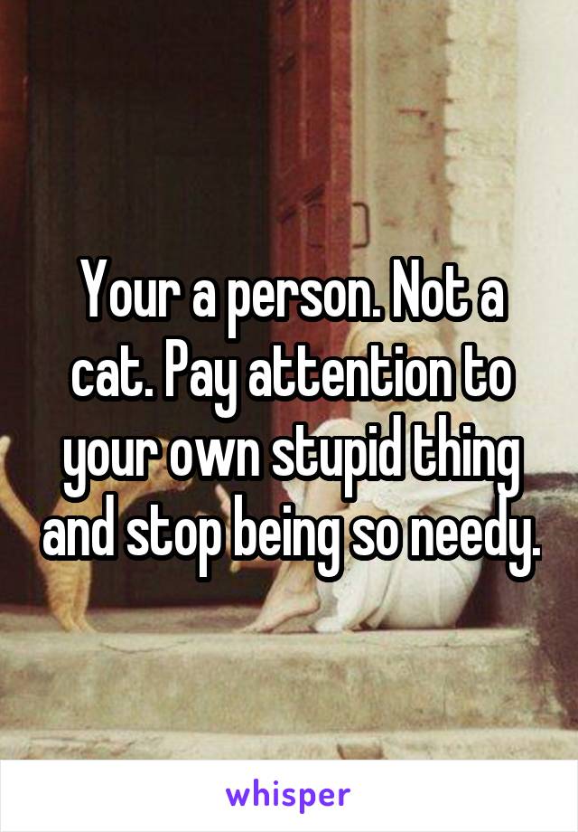 Your a person. Not a cat. Pay attention to your own stupid thing and stop being so needy.