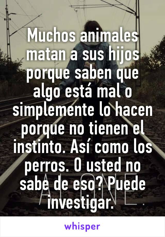 Muchos animales matan a sus hijos porque saben que algo está mal o simplemente lo hacen porque no tienen el instinto. Así como los perros. O usted no sabe de eso? Puede investigar. 