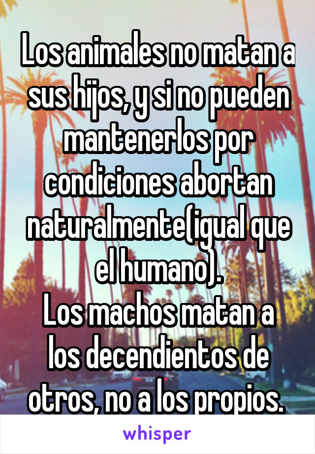 Los animales no matan a sus hijos, y si no pueden mantenerlos por condiciones abortan naturalmente(igual que el humano).
Los machos matan a los decendientos de otros, no a los propios. 