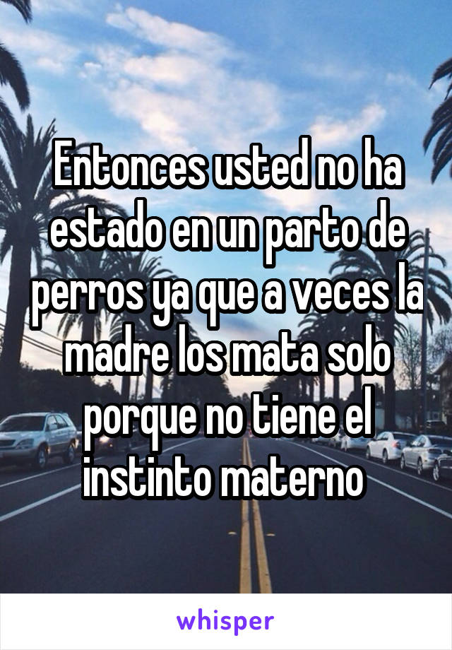 Entonces usted no ha estado en un parto de perros ya que a veces la madre los mata solo porque no tiene el instinto materno 