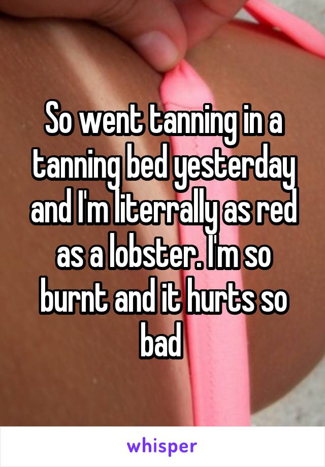 So went tanning in a tanning bed yesterday and I'm literrally as red as a lobster. I'm so burnt and it hurts so bad 