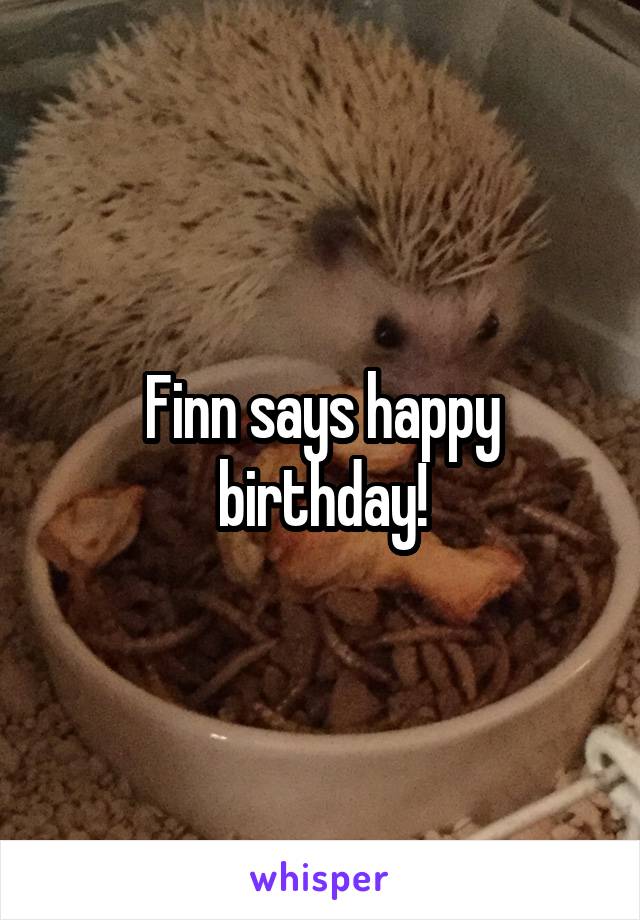 Finn says happy birthday!