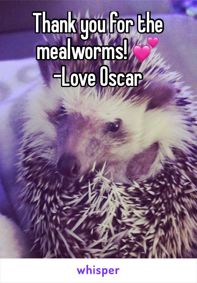 Thank you for the mealworms! 💕
-Love Oscar