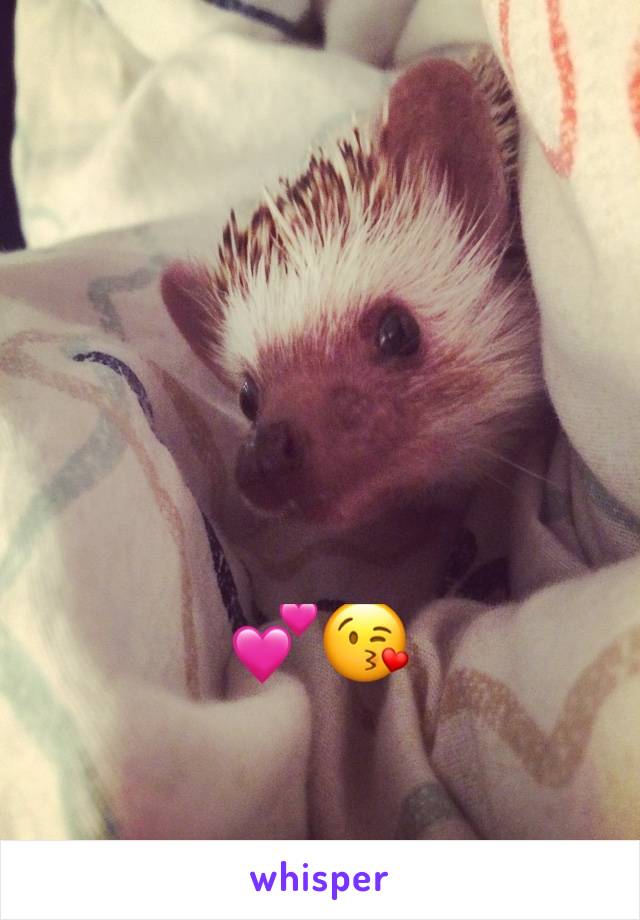 💕😘