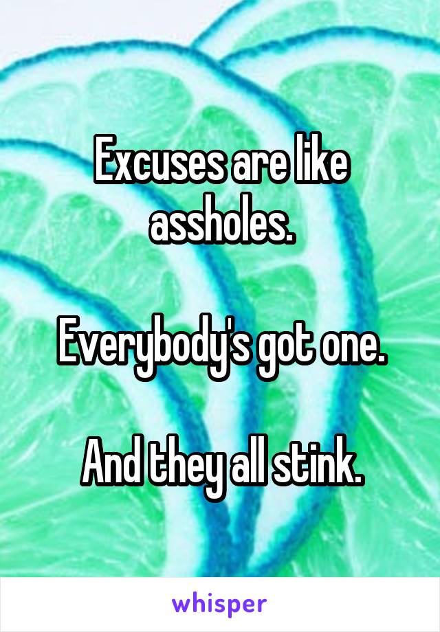 Excuses are like assholes.

Everybody's got one.

And they all stink.