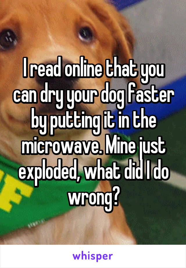 I read online that you can dry your dog faster by putting it in the microwave. Mine just exploded, what did I do wrong?