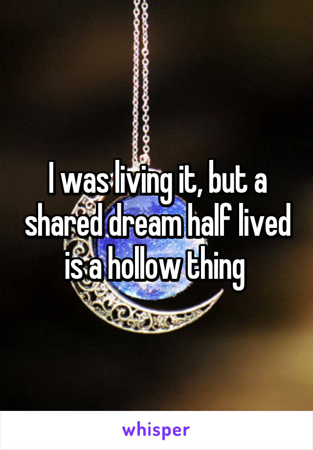 I was living it, but a shared dream half lived is a hollow thing 