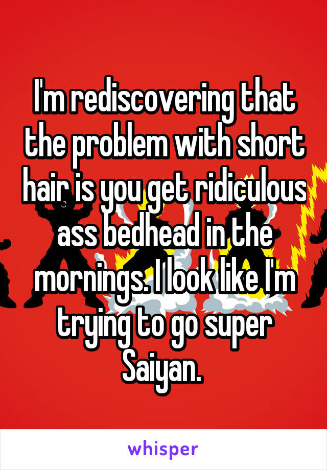 I'm rediscovering that the problem with short hair is you get ridiculous ass bedhead in the mornings. I look like I'm trying to go super Saiyan. 