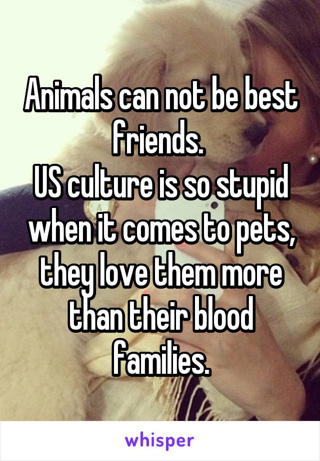 Animals can not be best friends. 
US culture is so stupid when it comes to pets, they love them more than their blood families.