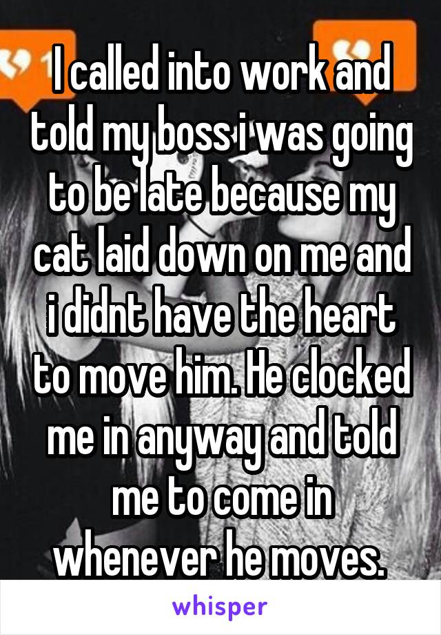 I called into work and told my boss i was going to be late because my cat laid down on me and i didnt have the heart to move him. He clocked me in anyway and told me to come in whenever he moves. 