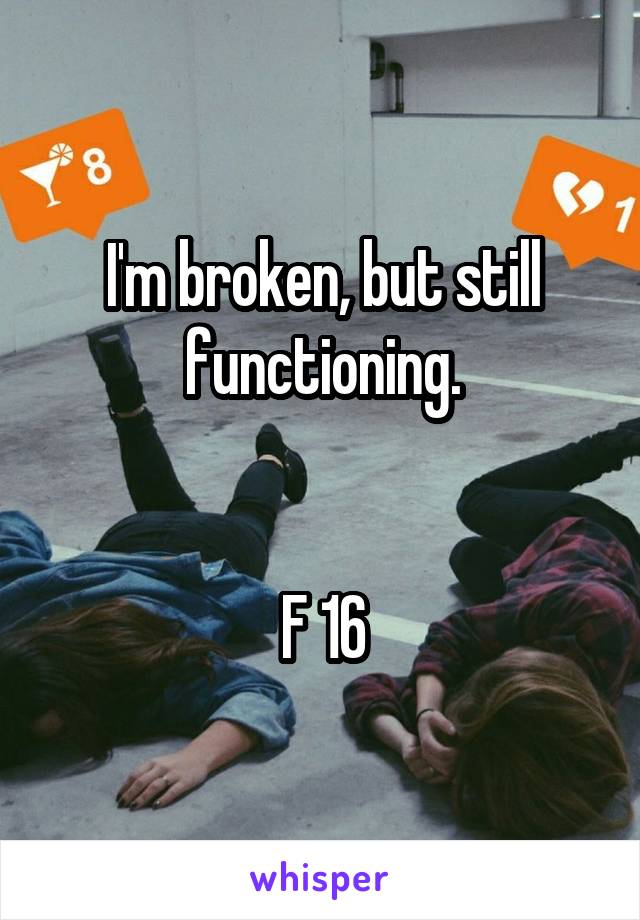 I'm broken, but still functioning.


F 16