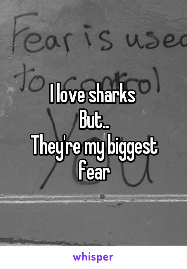 I love sharks 
But..
They're my biggest fear