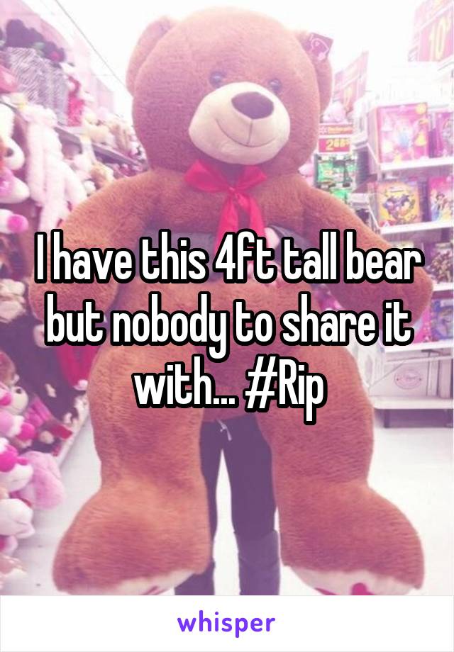 I have this 4ft tall bear but nobody to share it with... #Rip