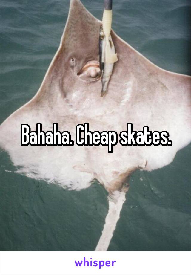 Bahaha. Cheap skates.