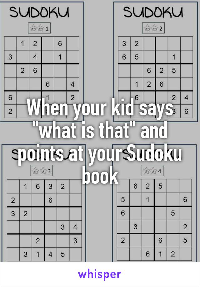 When your kid says "what is that" and points at your Sudoku book