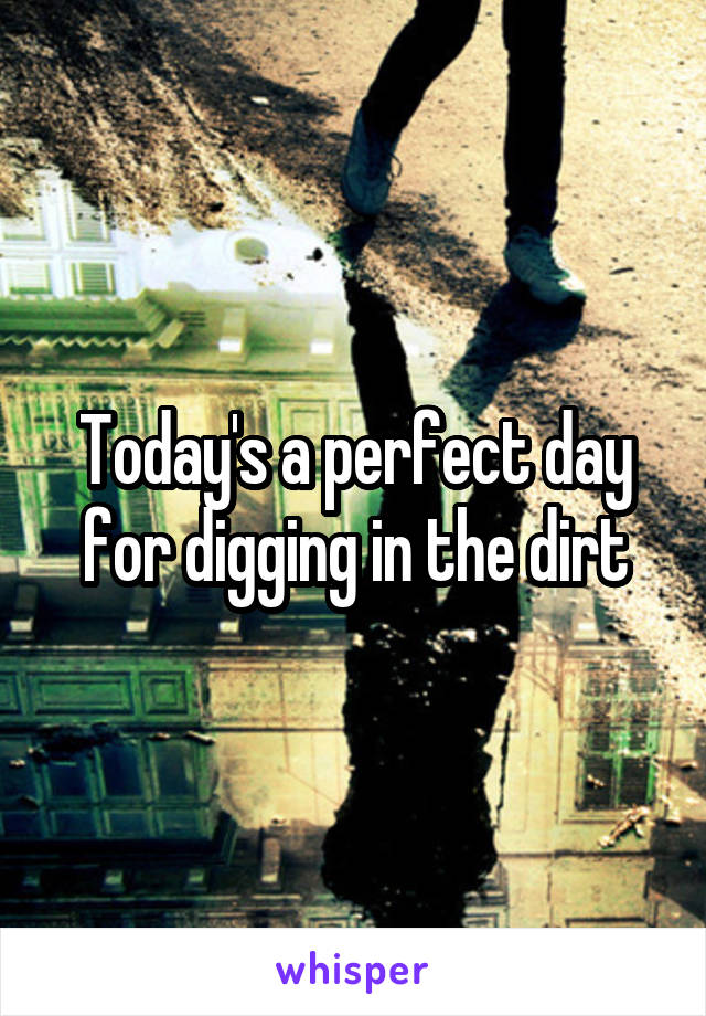 Today's a perfect day for digging in the dirt