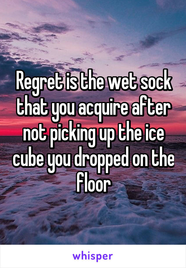 Regret is the wet sock that you acquire after not picking up the ice cube you dropped on the floor