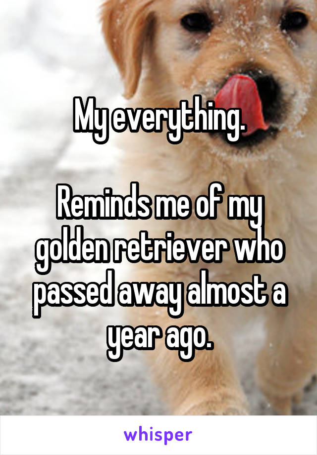 My everything.

Reminds me of my golden retriever who passed away almost a year ago.