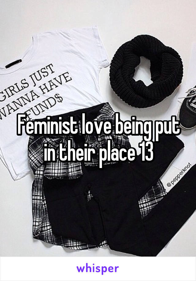 Feminist love being put in their place 13