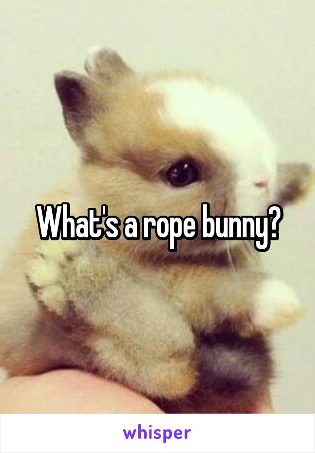 What's a rope bunny?