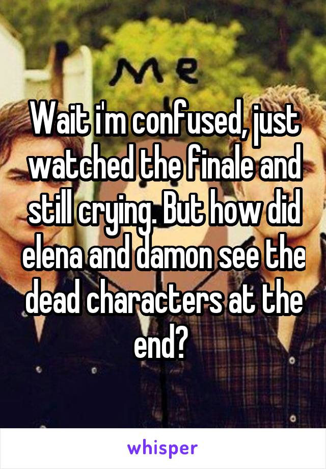 Wait i'm confused, just watched the finale and still crying. But how did elena and damon see the dead characters at the end? 